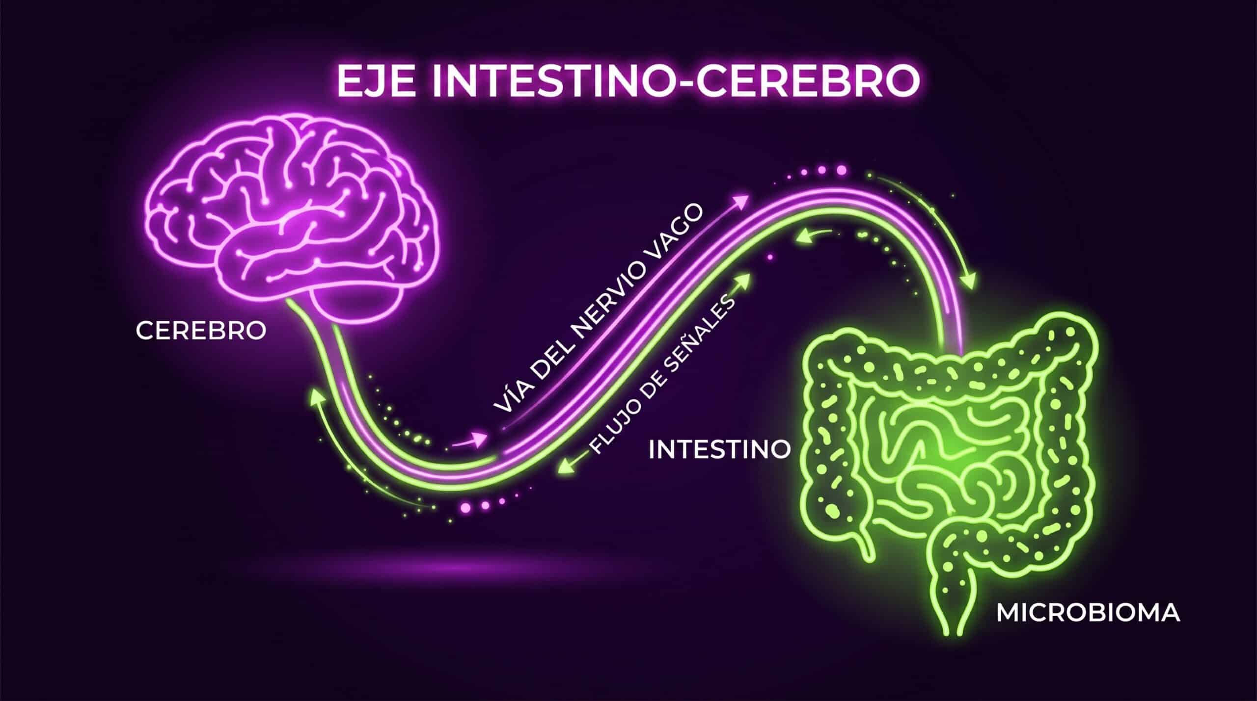 Neurobiología Nutricional y Eje Intestino-Cerebro