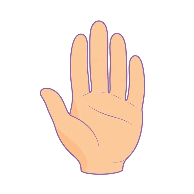 Mano abierta ilustrada